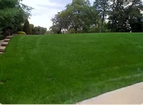 Professional landscape design in Pittsburgh, PA by VIP Turf Care