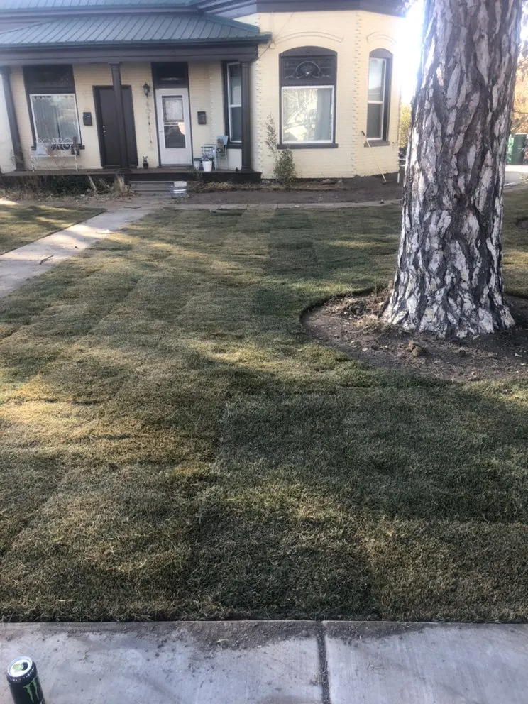 Affordable landscape installation for beautiful yards across Lehi, UT - Viper Curbing and Landscape