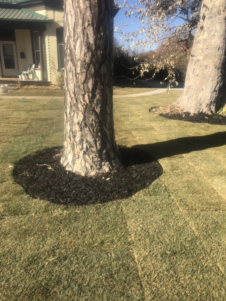 Affordable landscape installation in Lehi, UT - Viper Curbing and Landscape