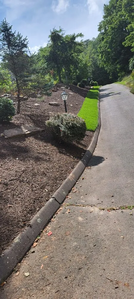 Expert yard cleanup service near you in Bloomfield, CT by Viper Landscaping