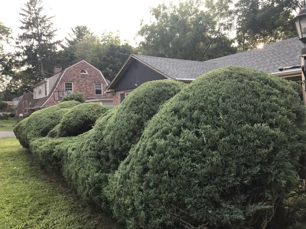 Trusted outdoor landscaping for outdoor upgrades in Bloomfield, CT by Viper Landscaping