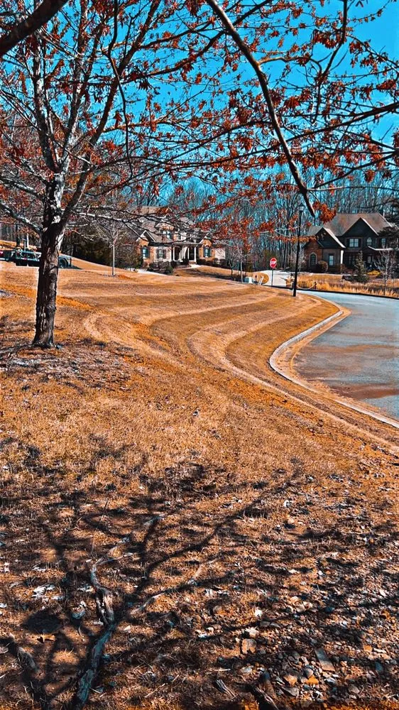 Reliable lawn mowing service in Dawsonville, GA - Viper Landscaping