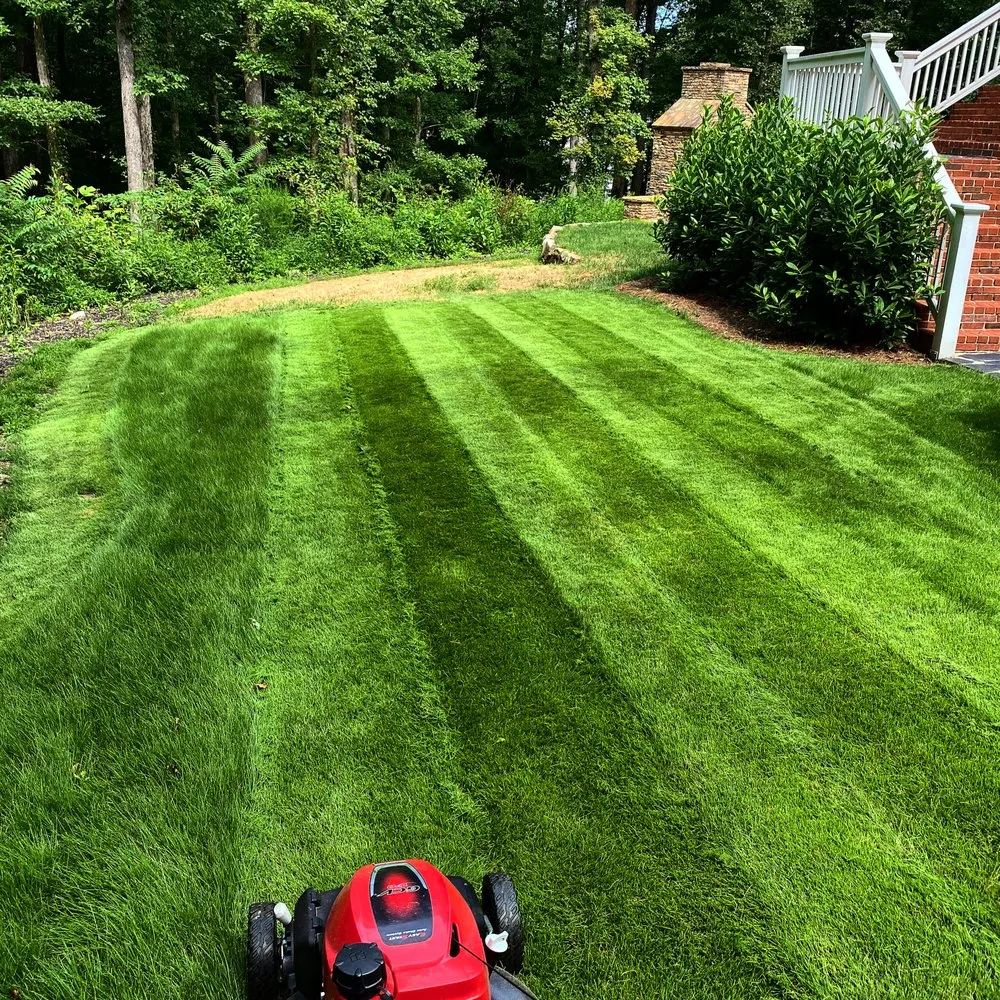 Top-rated yard maintenance experts serving Dawsonville, GA - Viper Landscaping