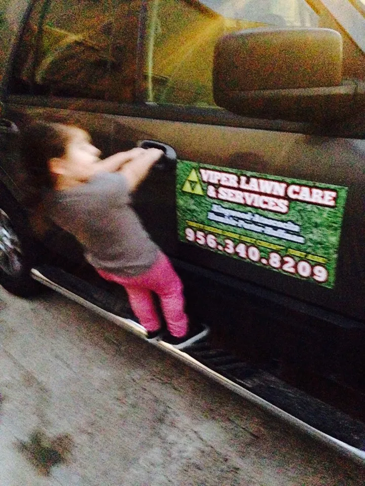 Expert yard cleanup service experts serving Humble, TX - Viper Lawn Care & Services