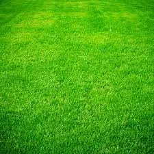 Affordable residential landscaping in Humble, TX by Viper Lawn Care & Services