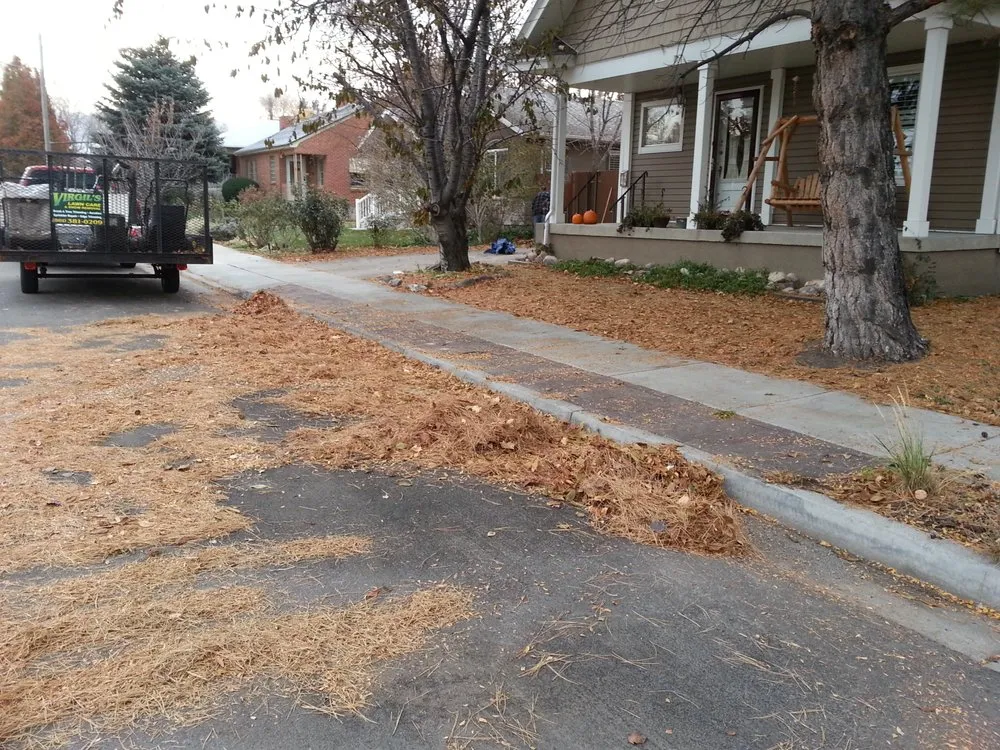 Custom lawn care service experts serving West Valley City, UT - Virgil's Lawn Care & Snow Removal