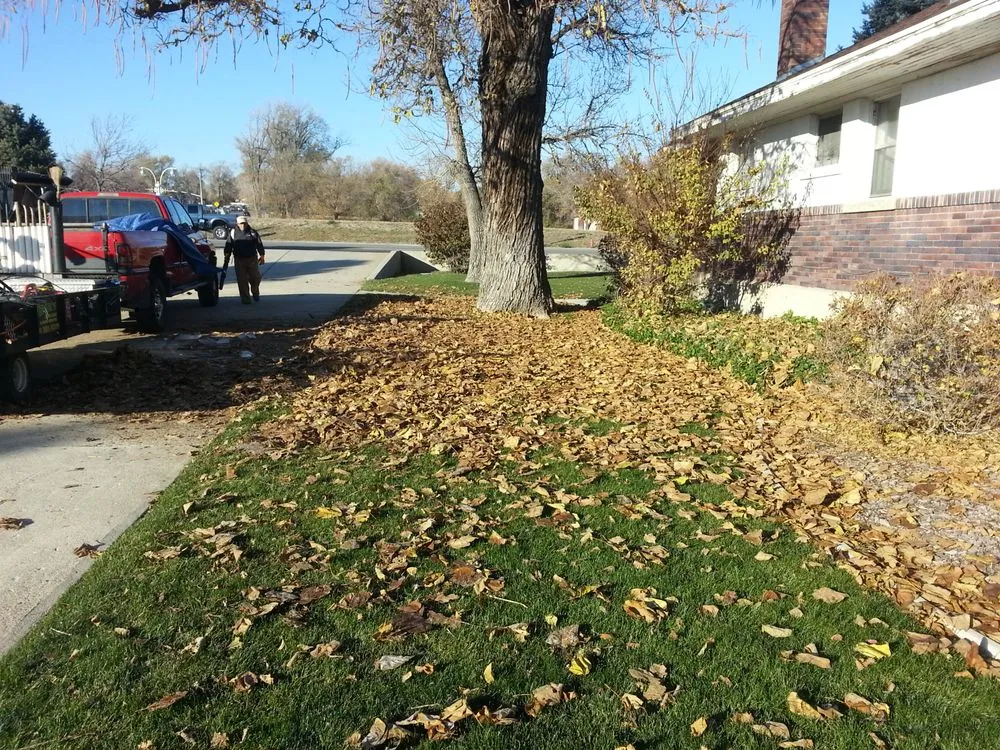Expert outdoor landscaping in West Valley City, UT by Virgil's Lawn Care & Snow Removal
