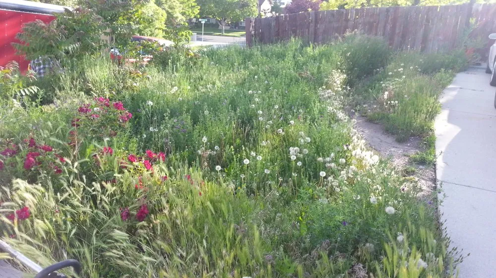 Professional lawn mowing service in West Valley City, UT by Virgil's Lawn Care & Snow Removal