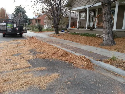 Virgil's Lawn Care & Snow Removal Logo