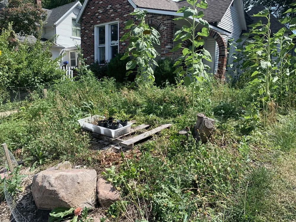 Trusted lawn care service in Lafayette, IN - Virgil’s Lawn Care and Landscaping