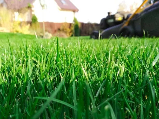 Professional lawn mowing service in Lafayette, IN - Virgil’s Lawn Care and Landscaping