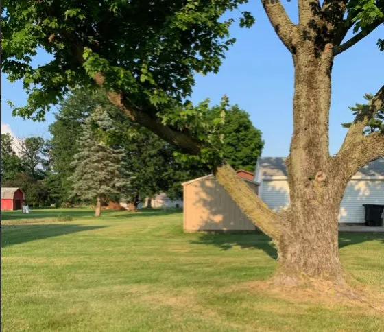 Top-rated yard cleanup service in Lafayette, IN - Virgil’s Lawn Care and Landscaping