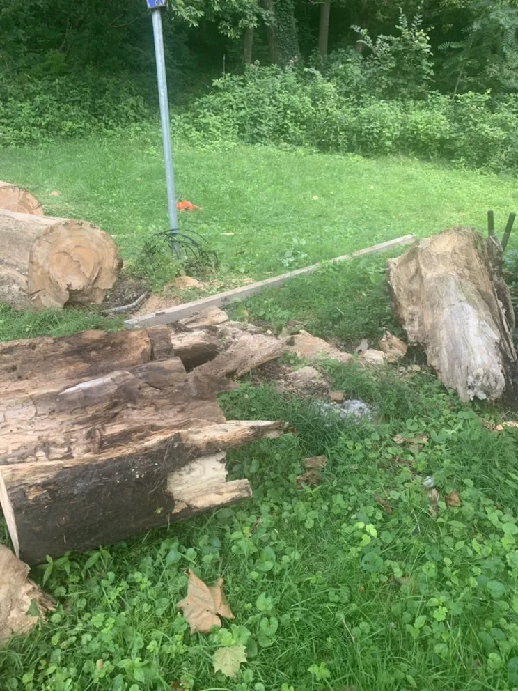 Top-rated landscape installation in Lafayette, IN - Virgil’s Lawn Care and Landscaping