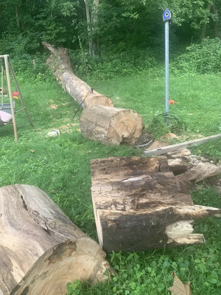 Top-rated lawn care service near you in Lafayette, IN by Virgil’s Lawn Care and Landscaping