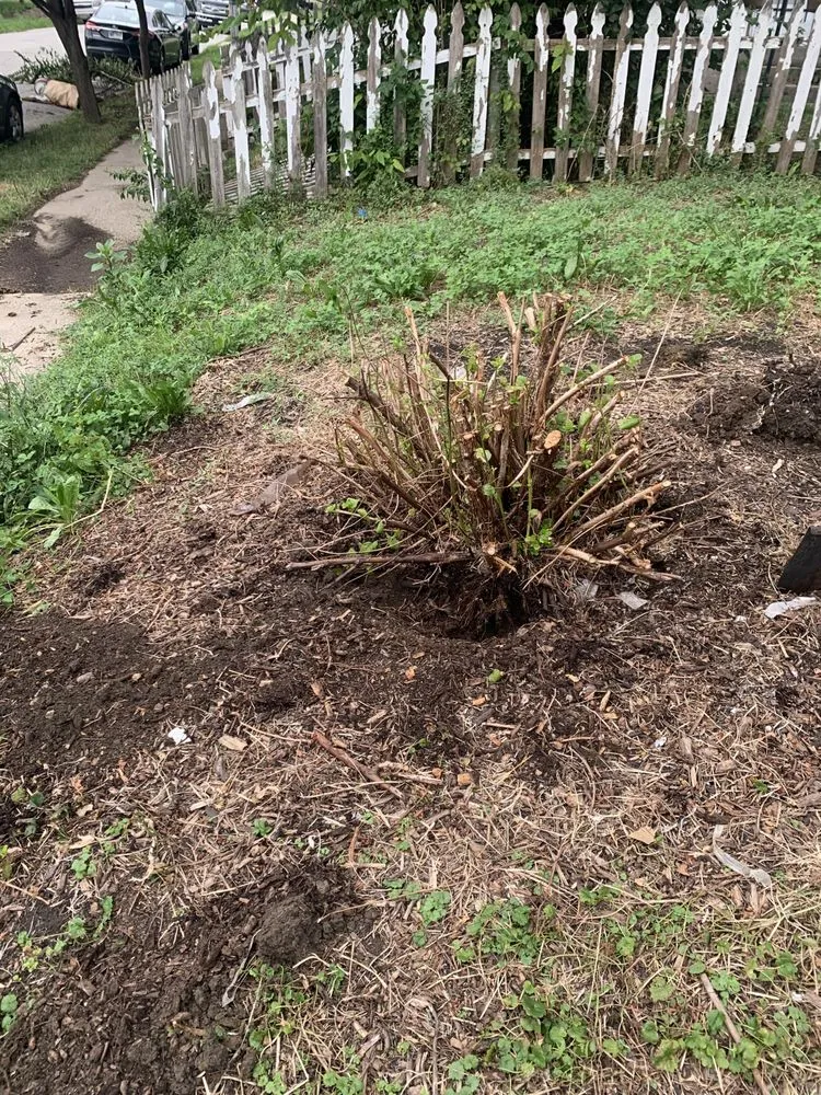 Local landscape installation in Lafayette, IN by Virgil’s Lawn Care and Landscaping