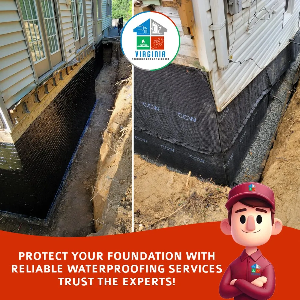 Trusted yard cleanup service in Manassas, VA - Virginia Drainage and Erosion