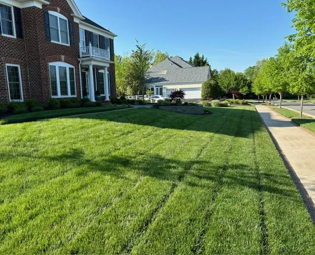 Trusted landscaping services in Dulles, VA by Virginia Green