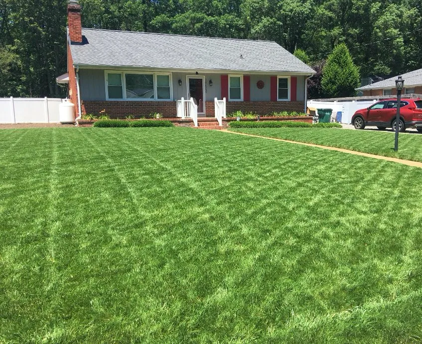 Expert residential landscaping in Dulles, VA - Virginia Green