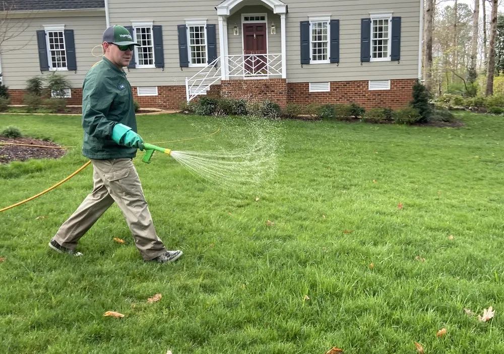 Reliable yard cleanup service in Dulles, VA - Virginia Green