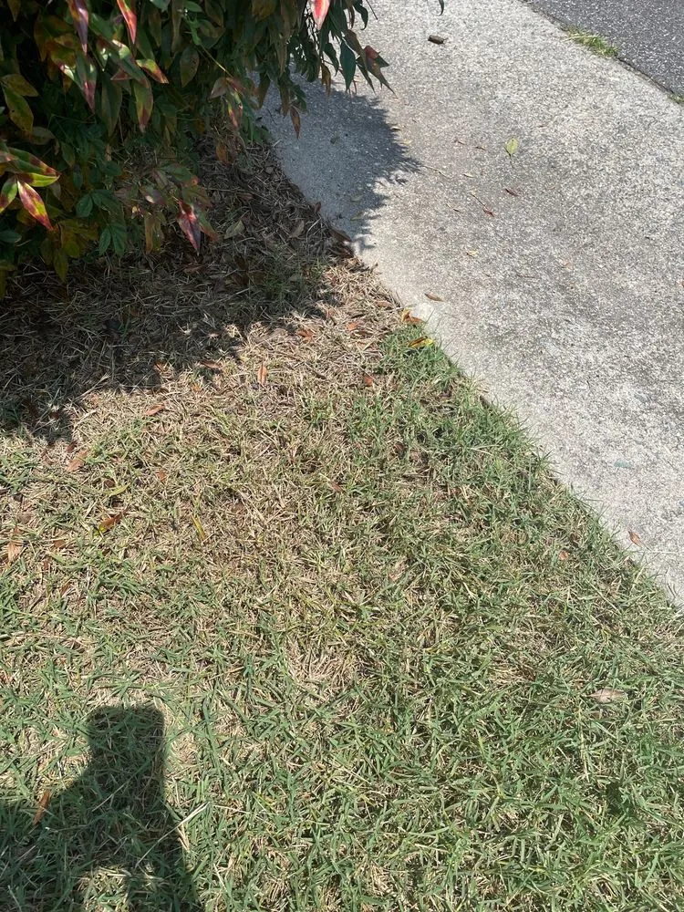 Professional yard maintenance in Midlothian, VA - Virginia Green