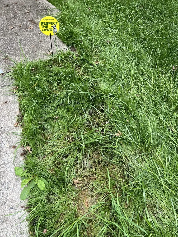 Affordable lawn mowing service in Richmond, VA by Virginia Green