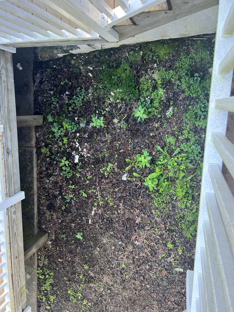 Affordable garden landscaping for year-round maintenance in Richmond, VA by Virginia Green