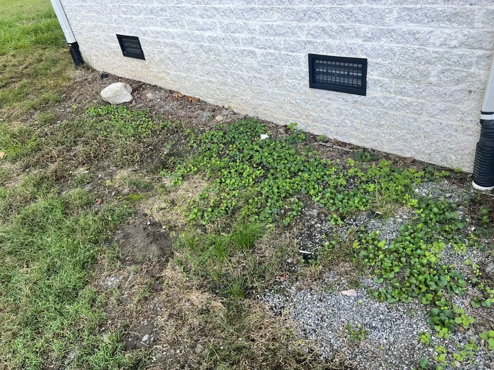 Trusted outdoor landscaping experts serving Richmond, VA - Virginia Green