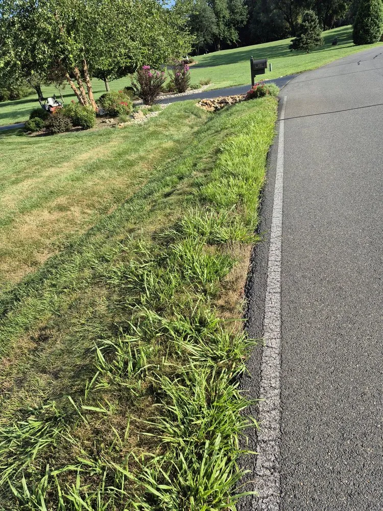 Trusted landscape design for beautiful yards in Richmond, VA by Virginia Green