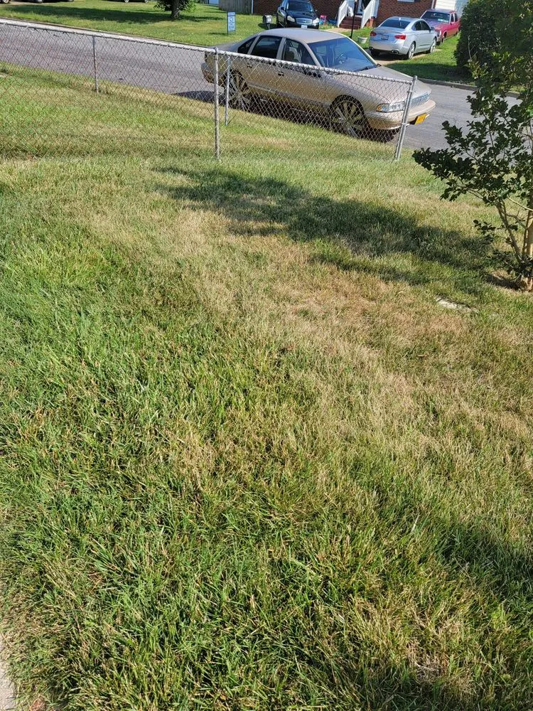 Affordable garden landscaping in Richmond, VA by Virginia Green