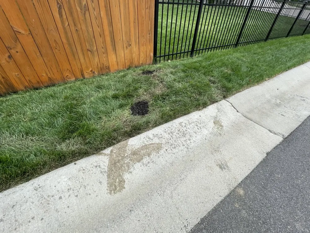 Expert garden landscaping experts serving Richmond, VA - Virginia Green