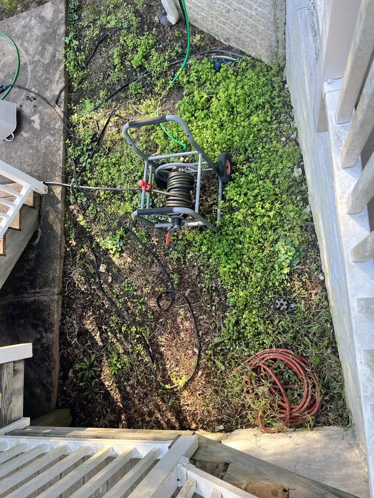 Affordable landscape design for year-round maintenance in Richmond, VA by Virginia Green