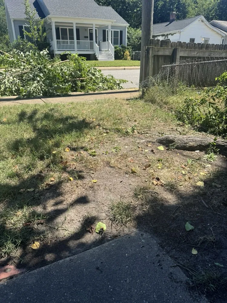 Trusted lawn care service experts serving Williamsburg, VA - Virginia Green