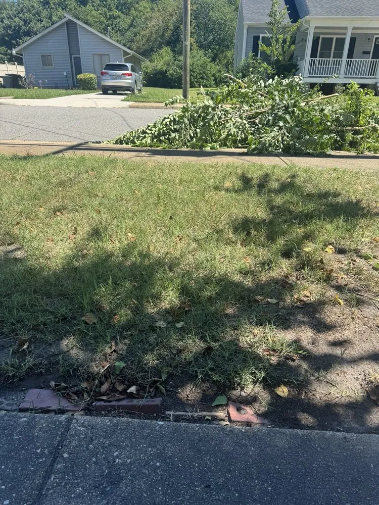 Local landscaping services near you in Williamsburg, VA by Virginia Green