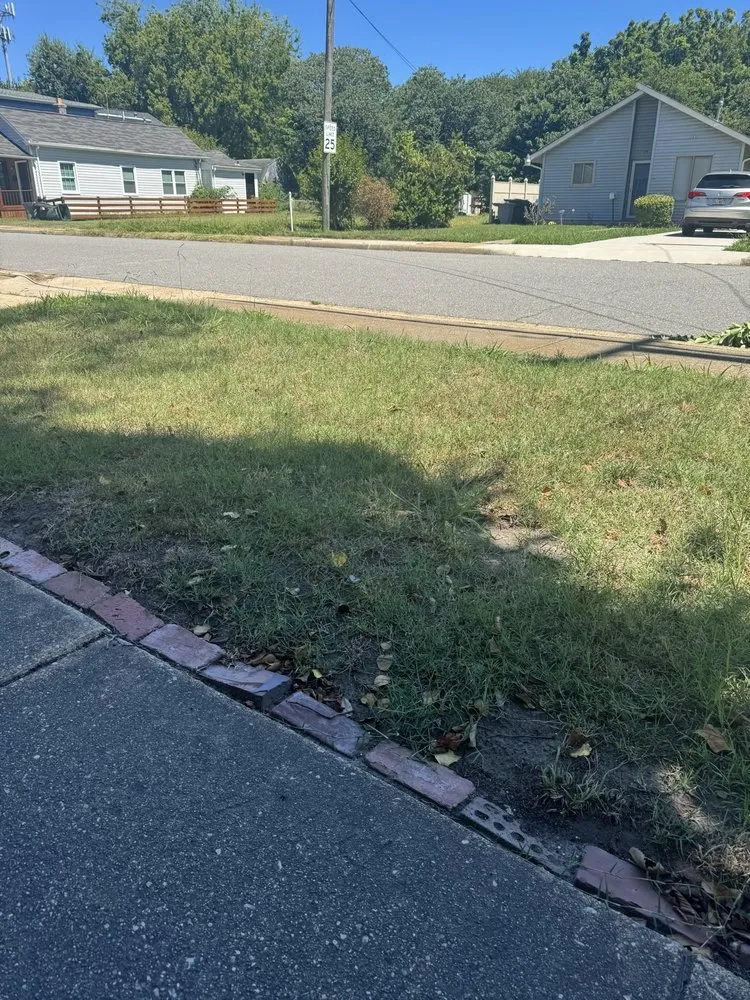 Local yard maintenance in Williamsburg, VA - Virginia Green