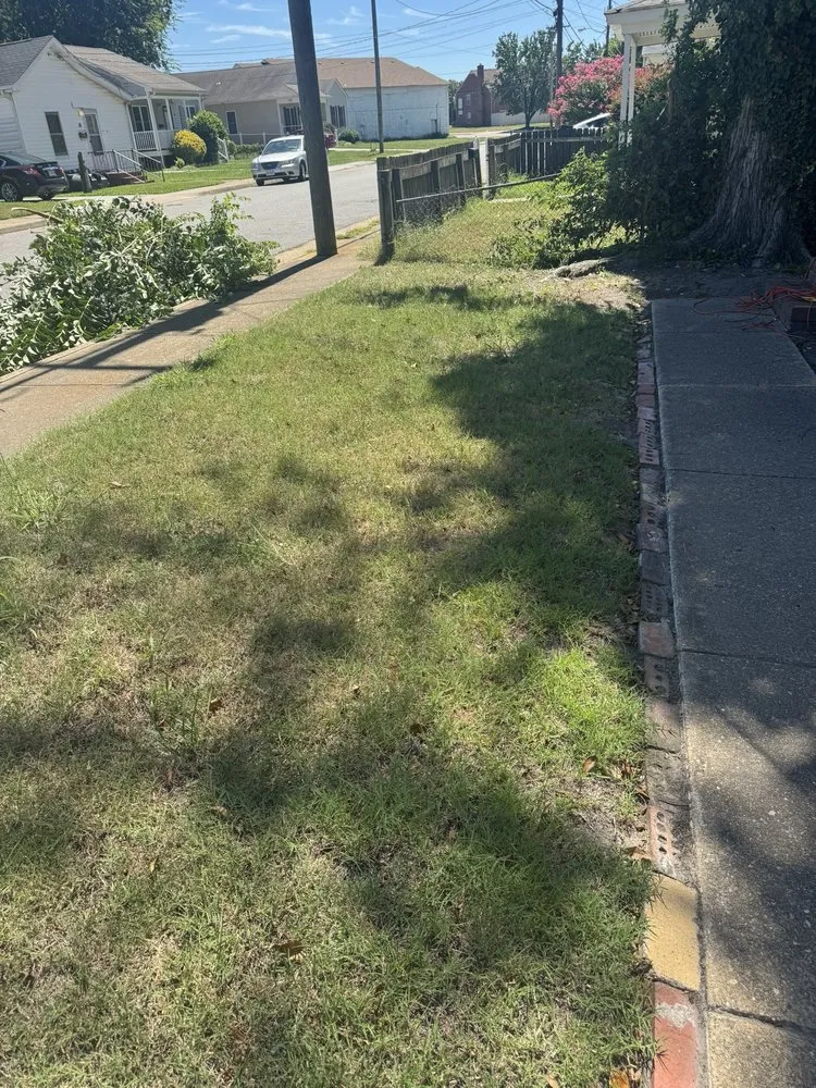 Top-rated landscape installation for beautiful yards across Williamsburg, VA - Virginia Green