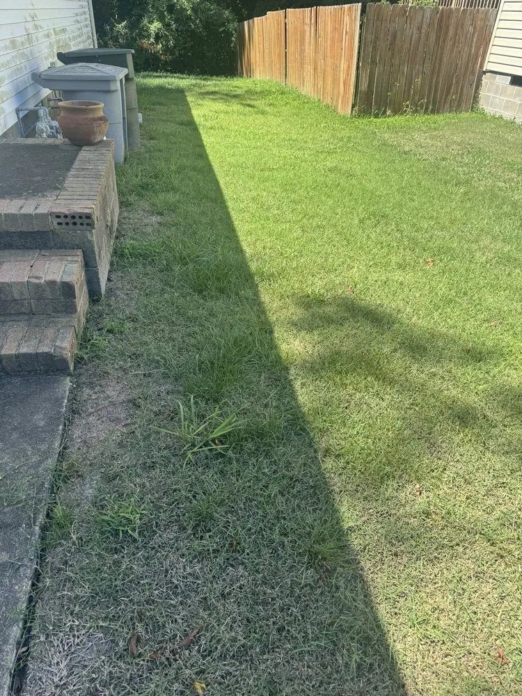 Local yard maintenance in Williamsburg, VA by Virginia Green