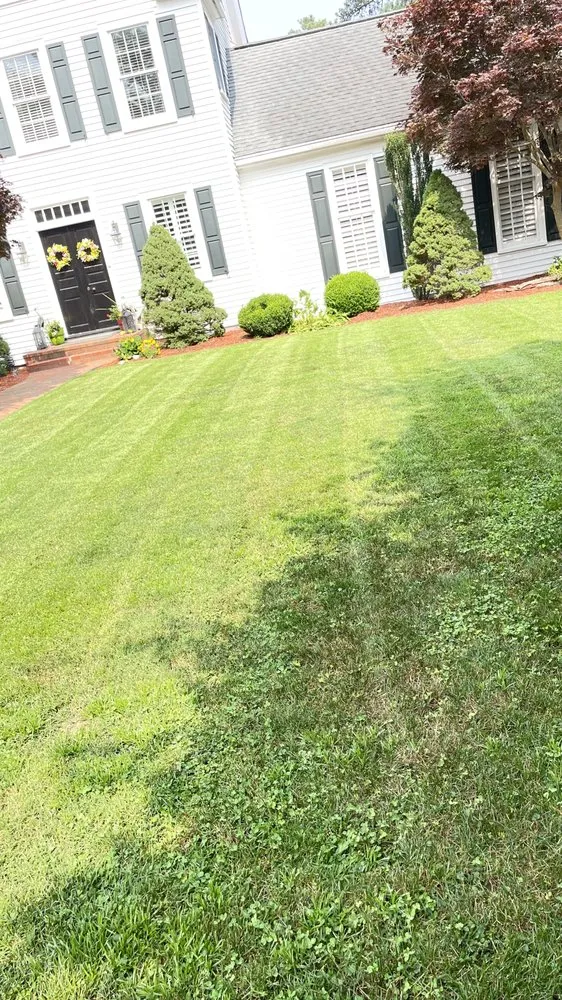 Trusted landscape design for year-round maintenance across Newport News, VA - Virginia Ladscaping