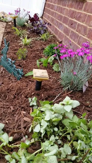 Professional lawn mowing service in Midlothian, VA by Virginia Landscape & Irrigation