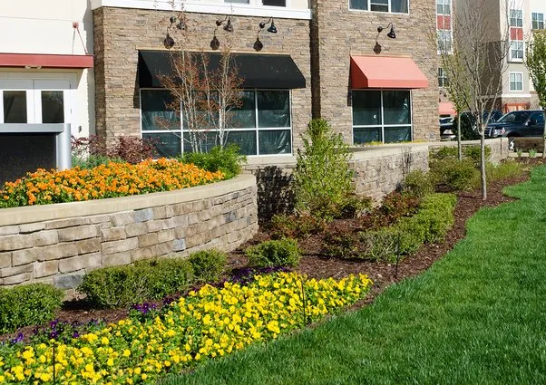 Reliable yard maintenance in Fredericksburg, VA - Virginia Landscape Management