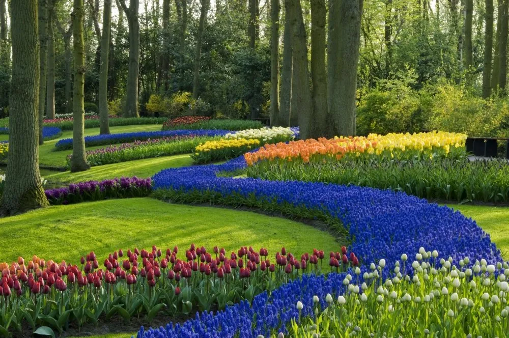 Local lawn mowing service in Fredericksburg, VA by Virginia Landscape Management