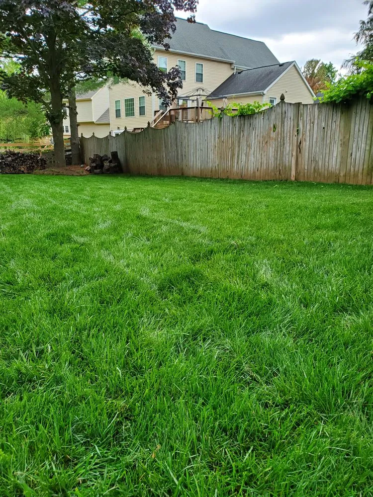 Reliable landscaping services for residential properties in Fairfax, VA by Virginia Landscaping