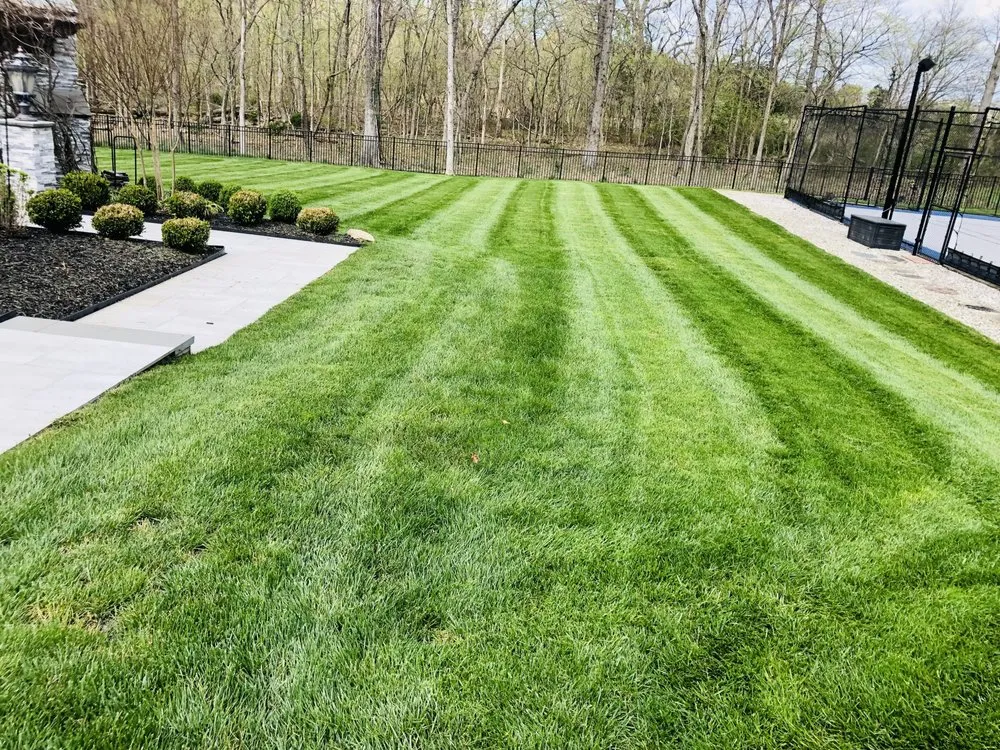 Expert outdoor landscaping in Sterling, VA by Virginia Landscaping