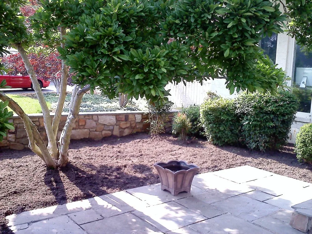 Reliable outdoor landscaping for beautiful yards across Alexandria, VA - Virginia State Contractors LLC
