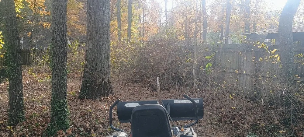 Trusted residential landscaping in Fredericksburg, VA - Virginias Greener