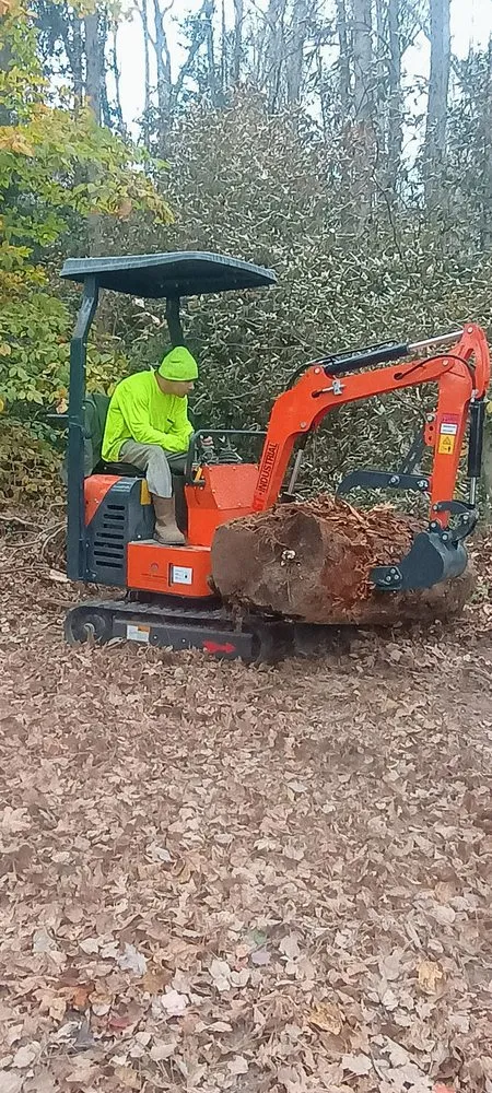 Reliable lawn mowing service experts serving Fredericksburg, VA - Virginias Greener