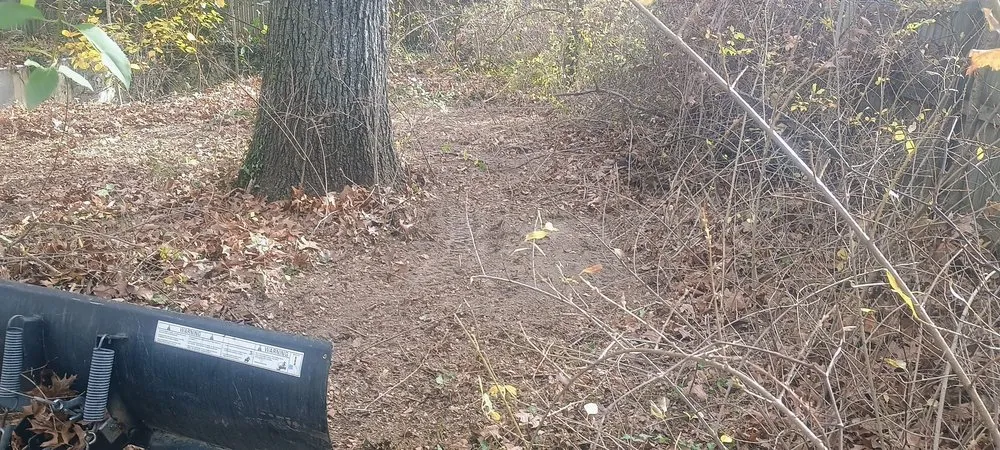 Professional outdoor landscaping with custom design across Fredericksburg, VA - Virginias Greener