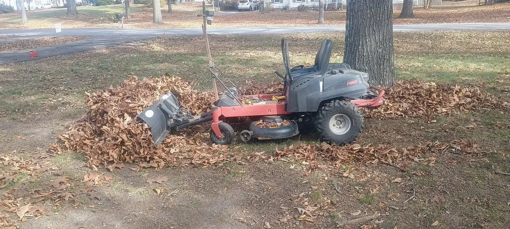 Top-rated residential landscaping in Fredericksburg, VA - Virginias Greener