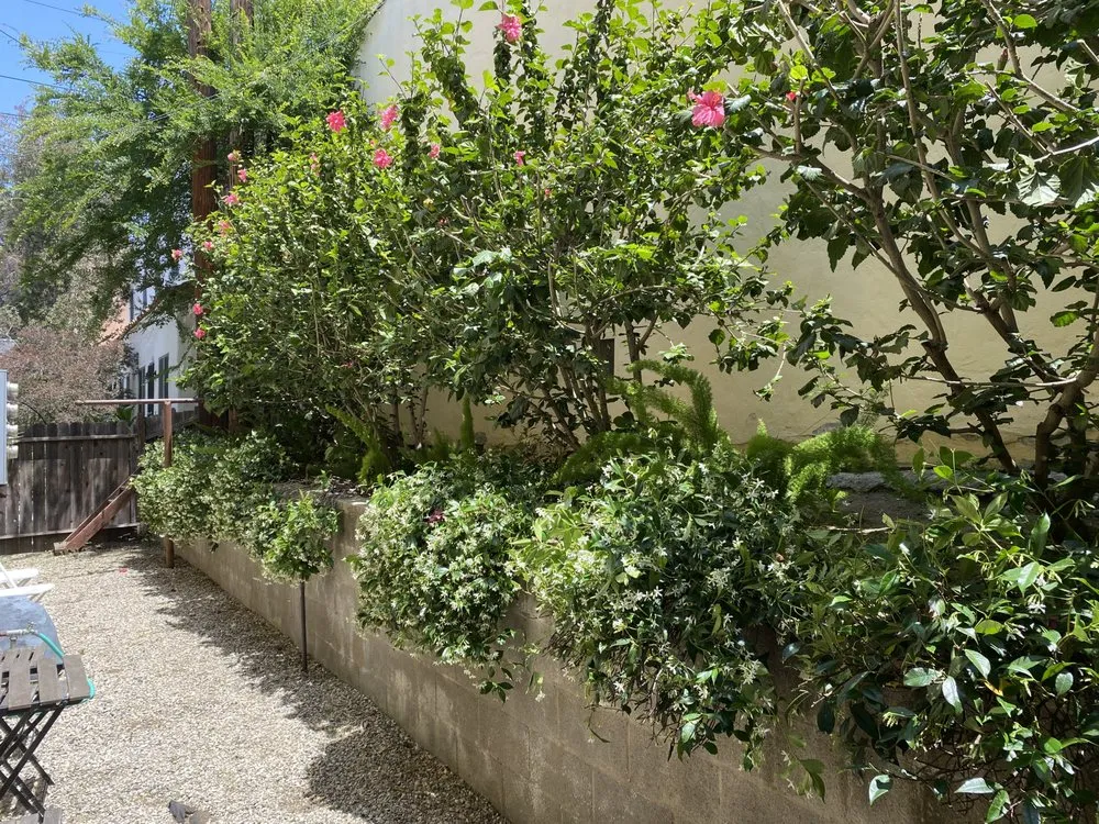 Local garden landscaping in Los Angeles, CA - Virgo Brothers Landscape