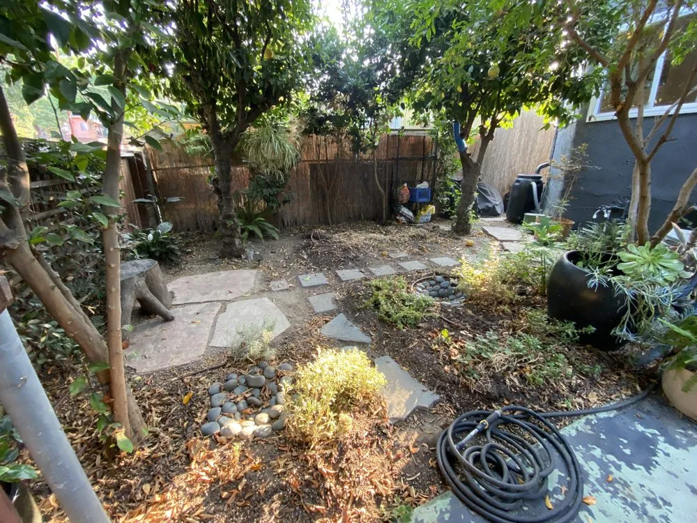 Expert yard maintenance near you in Los Angeles, CA by Virgo Brothers Landscape