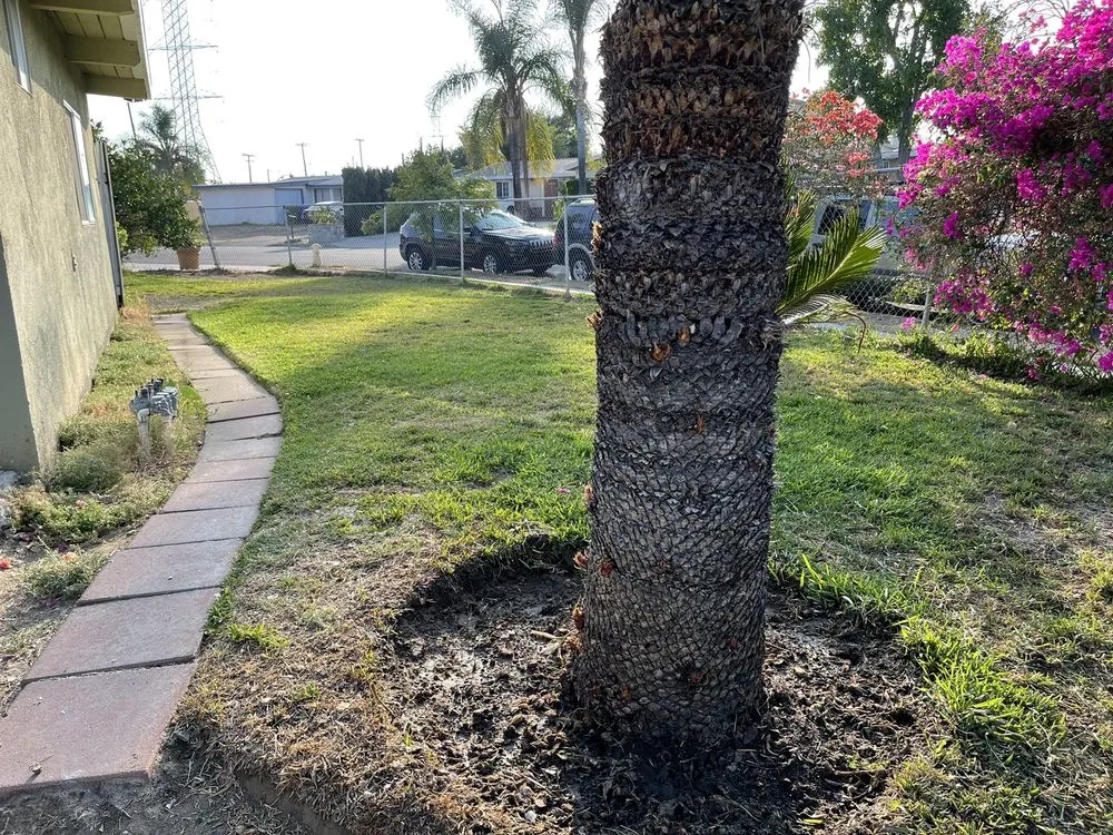 Expert landscape design for outdoor upgrades across Los Angeles, CA - Virgo Brothers Landscape